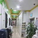 괴정승학 이미지