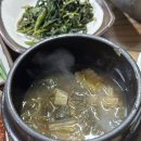 청솔로스 네이버블로그