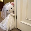 6857 | [화이트피치 톤 본식 스냅/DVD]포엘리제 계약 후기/신도림웨딩시티 그랜드볼룸 웨딩스냅 추천