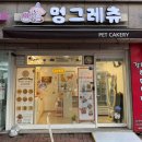 멍그레츄 | 은평구 강아지 케이크 멍그레츄 후기 | 반려견케이크 추천🐾