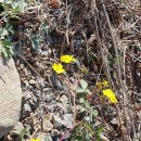 중앙종묘사 이미지