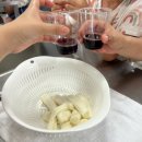 청룡목장 | 용인 농도원 목장 후기_아이와 함께 체험