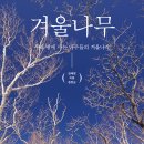 ＜겨울나무 : 우리 땅에 사는 나무들의 겨울나기＞ 김태영, 이웅, 윤연순 저 | 돌베개 | 2022 이미지