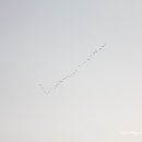 가일미술관 이미지