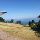 썬크루즈 이미지