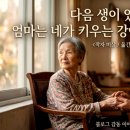 엄마는 네 강아지가 되고 싶다 / 감동 글 이미지