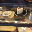 인더오조