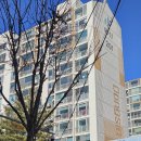 코오롱.동신 이미지