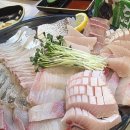 어시장 활어회직거래 판매장 이미지