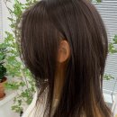 여주-0284 | 안산미용실 살롱드김 안산고잔1호점 미용실유목민들 여기서 머리정착 선언한 썰 푼다 재방문의사100프로!