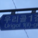 소나무 농장 이미지