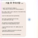 화정초교 | 다시봄뷰티 | 김해 반영구 눈썹문신 대만족한 후기