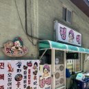 따밥 | 울릉도 저동항 현지인 추천 맛집 정애분식 정애식당 오징어내장탕 홍따밥 내돈내산 솔직 후기