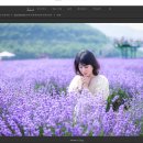 Adobe Bridge 이미지