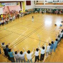 조천체육관 체육관 이미지