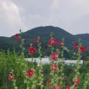 웅치마을영농회 이미지