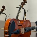 소수집중 바이올린 이미지