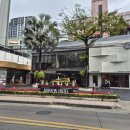 1268 | 동남아 esim 사용 후기. 말톡 RYT1268 동남아 4개국 5일 무제한 데이터 이심. 싱가포르, 인도네시아...