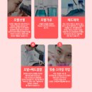 뷰티플라워 네이버블로그
