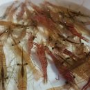 연동어촌체험마을 이미지