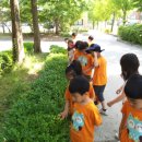 서룡초등학교(병설) 이미지