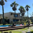 달마루 스파 이미지