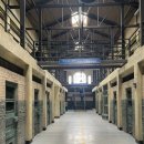 멧돼지집 이미지