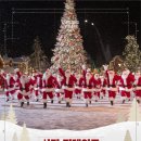 형제천막 | 2025 부산 크리스마스 빌리지 솔직후기! 패스트트랙 구매방법, 주차, 애견동반