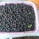 철마농장 이미지