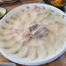 주문진 방파제회센타 이미지