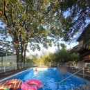 오월의정원 포레스트 | 강원도 강릉 펜션 가족여행 오월의 정원 포레스트 여름휴가 추천 (Feat:내돈내산, 조식)