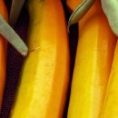 소소농장 이미지