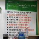 오토오아시스여월
