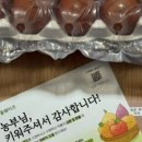 출퇴근길 반려어플 ‘올팜’ 작물 수확 후기