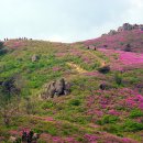 초암산