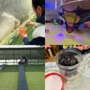 제일팜산업동물병원 | 청주 이색체험 사계절썰매 먹이주기 키즈카페가 한곳에 한국잠사플레이팜 한국잠사박물관