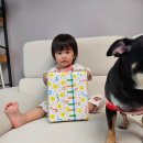 남이안풀빌라 이미지