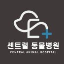 양주 센트럴 동물병원 이미지