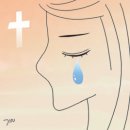 로뎀나무 이미지