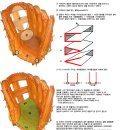 글러브등급 이미지