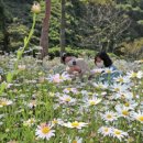 소나무공원 이미지