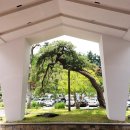 충주헬스클럽 | ⛳️ 충주 1박 2일 가족 골프여행 ㅡ일레븐CC에서의 행복한 라운딩