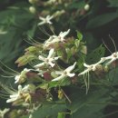 양가고기마을 이미지