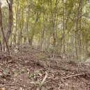 어곡리마을회관 이미지