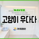 부산동물병원 제넷 이미지