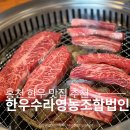 홍천 한우 맛집 홍천한우수라영농조합법인 한우모듬 후기