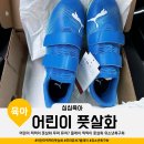 주니어7태권도 | 어린이 찍찍이 풋살화 푸마 퓨처7 플레이 풋살화 키즈축구화