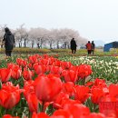 꽃단지 - 구리시 아차산로 62 | 꽃단지