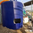 종합축사 이미지