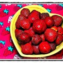 건강과 행복 약국 이미지